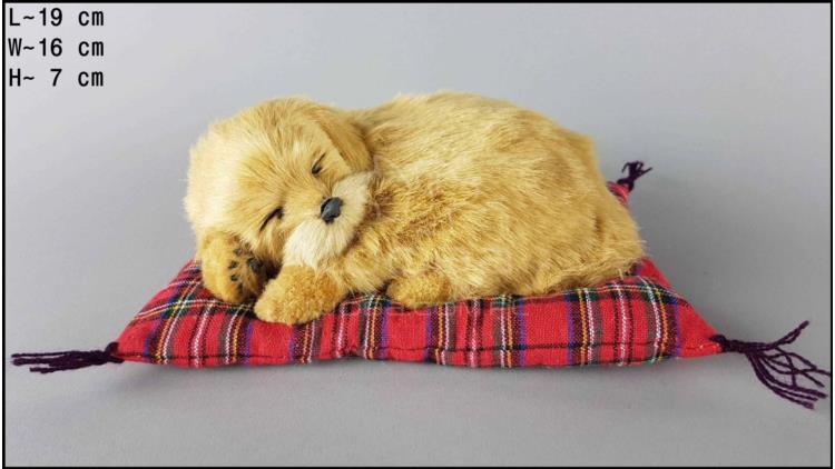 Pies Labrador na poduszce Rozmiar S - Biszkoptowy