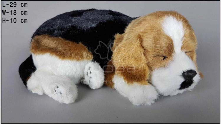 Dog Beagle - Size L