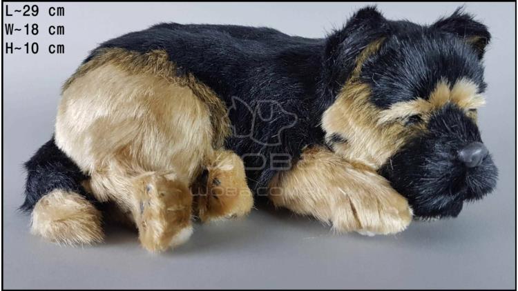 Dog German shepherd - Size L