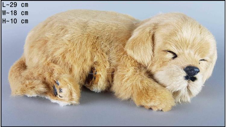 Dog Labrador - Size L - Biscuit