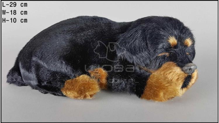 Dog Rottweiler - Size L