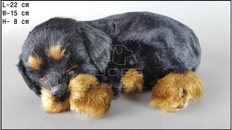 Dog Rottweiler - Size M