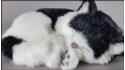 Schlafende Katze - Größe M - Schwarz-Weiß