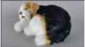 Dog Beagle - Size S
