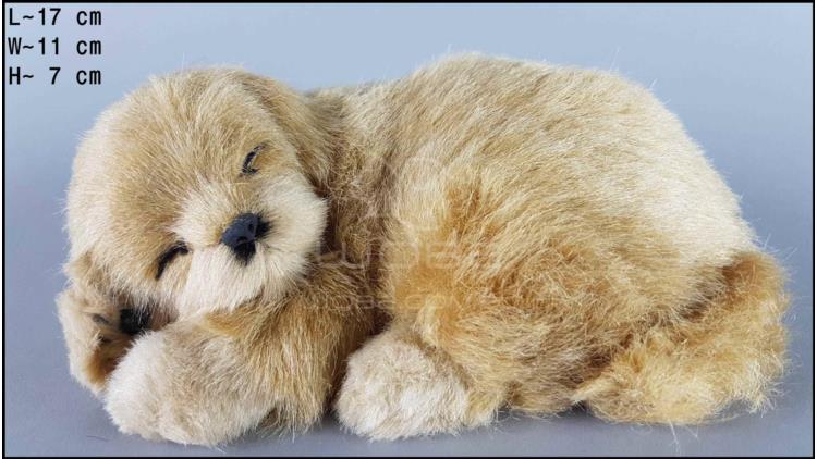 Dog Labrador - Size S - Biscuit