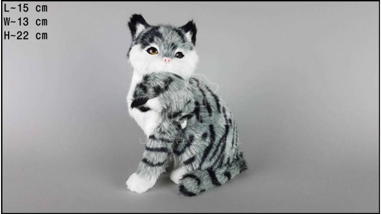 Katze mit einem Kätzchen Groß - Grau