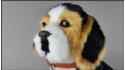 Großer Hund - Beagle Schwarz - weiß