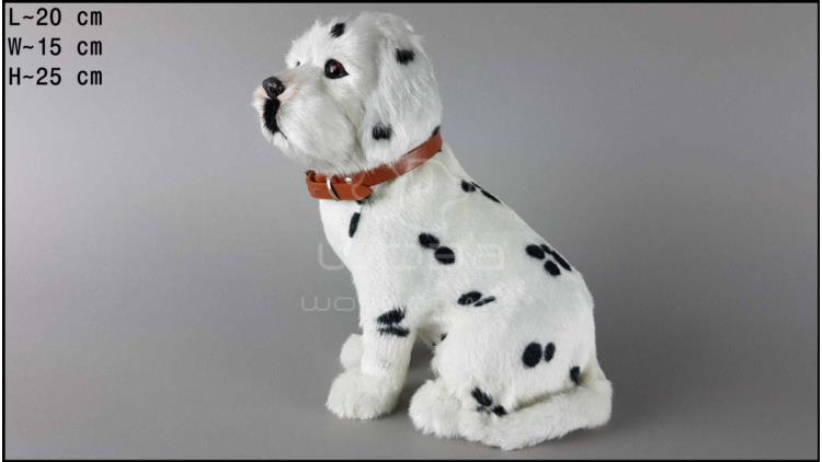 Large dog - Dalmatian