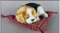 Dog Beagle on a pillow - Size M