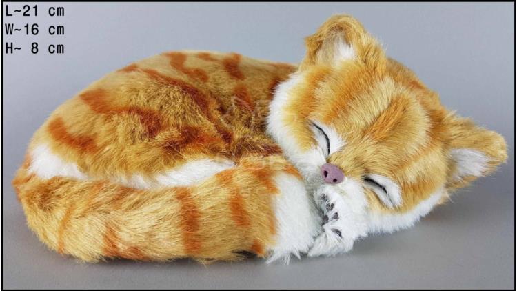 Schlafende Katze - Größe M - Rot