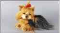 Yorkshire Terrier barking (2 pcs in a box)