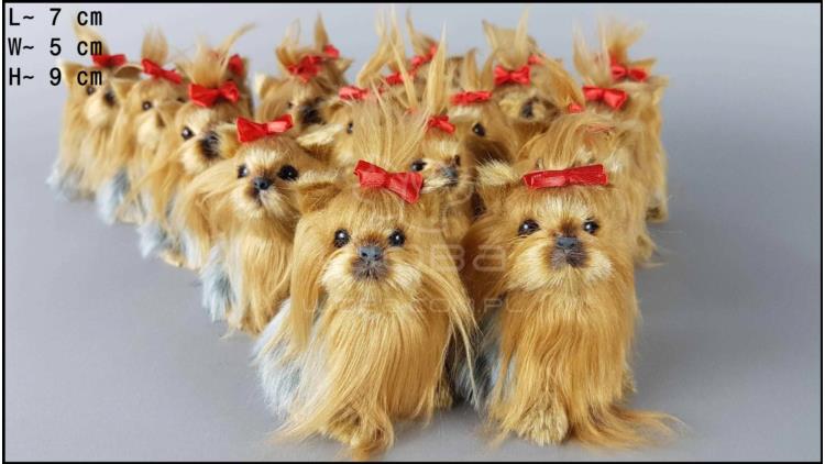 Little Yorkshire Terriers barking (19 pcs in a box)