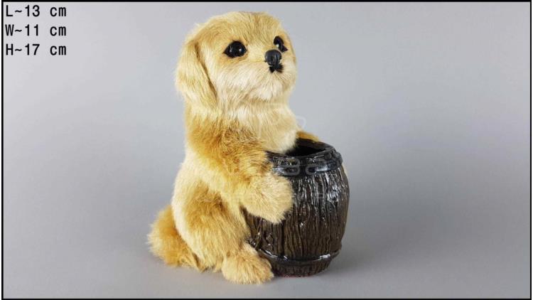 Dog with a barrel - Labrador