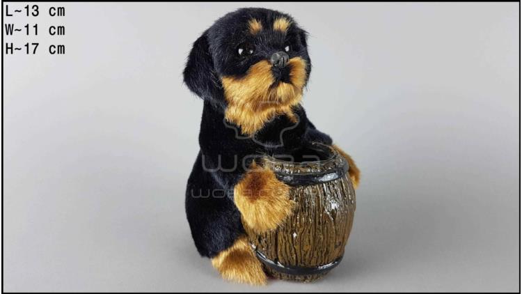 Dog with a barrel - Rottweiler