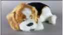 Dog Beagle - Size M