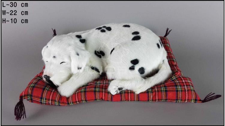 Dog Dalmatian on a pillow - Size L