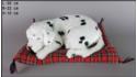 Dog Dalmatian on a pillow - Size L