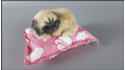 Little dogs on a pink bamboo pillow (7 pcs in a box)