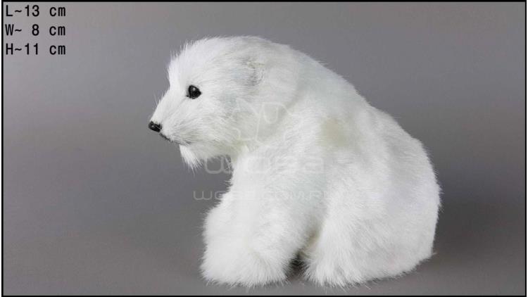 Niedźwiedź polarny Siedzący