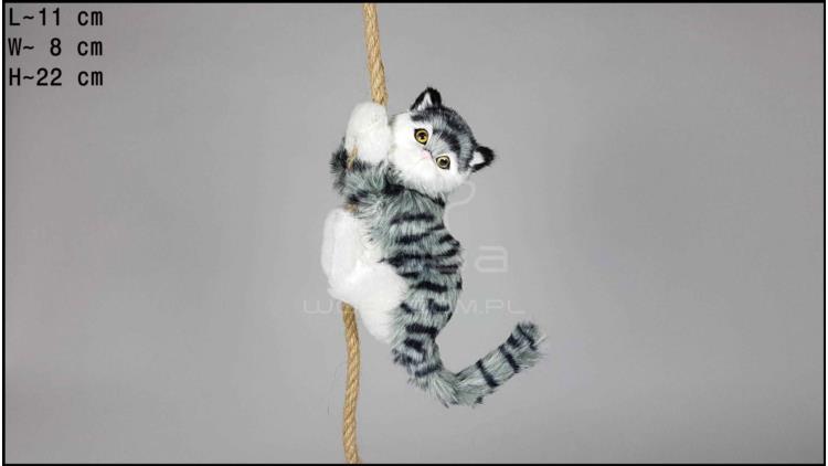 Cat climbing a rope - Grey