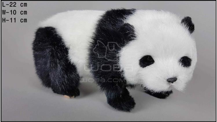Panda Stojąca