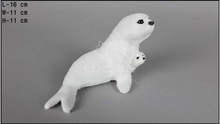 Seehund - mittelgroß mit einem Baby