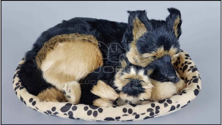 Large dog in a cot, with a puppy - Germain shepherd