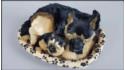 Большая собака в лежаке, со щенком - Немецкая овчарка