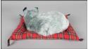 Dog Husky on a pillow - Size L