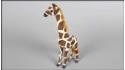 Giraffe standing