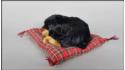 Собака Ротвейлер на подушке - Размер M