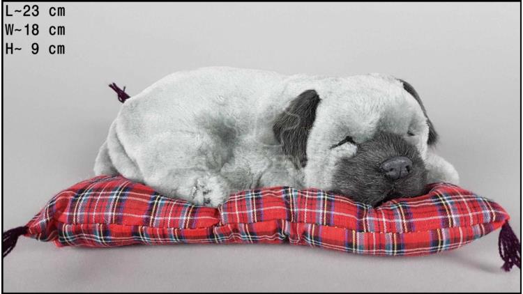 Dog Shar Pei on a pillow - Size M