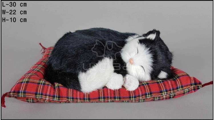 Kot śpiący na poduszce Rozmiar L - Czarno-Biały