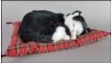 Cat sleeping on a pillow - Size L - Black & White