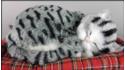Schlafende Katze auf dem Kopfkissen - Größe L - Grau