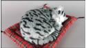 Kot spící na polštáři - Velikost L - Šedý