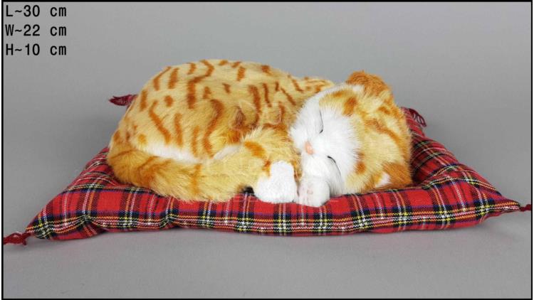 Kot spící na polštáři - Velikost L - Zrzavý