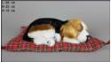 Собака Бигль на подушке - Размер L