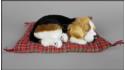 Dog Beagle on a pillow - Size L