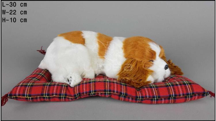 Dog Charles Spaniel on a pillow - Size L - Yellow