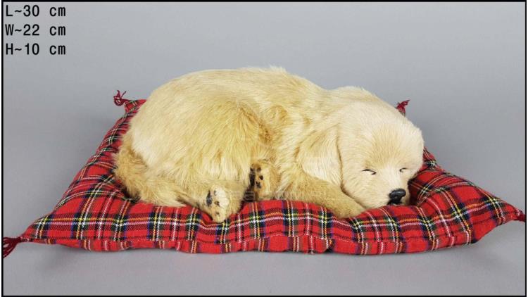 Labrador na vankúši - Veľkosť L - Piškótový