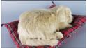 Labrador na vankúši - Veľkosť L - Piškótový