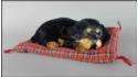 Собака Ротвейлер на подушке - Размер L