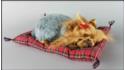Собака Йоркширский терьер на подушке - Размер L