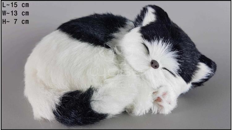 Schlafende Katze - Größe S - Schwarz-Weiß