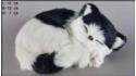 Schlafende Katze - Größe S - Schwarz-Weiß