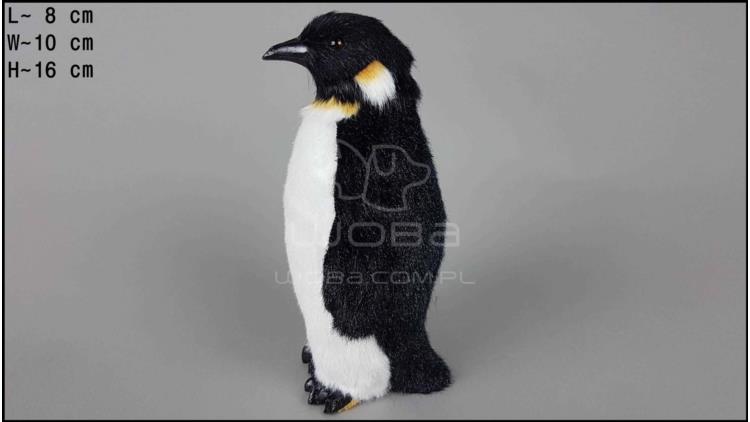 Middle-sized penguin