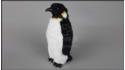 Mittelgroßer Pinguin