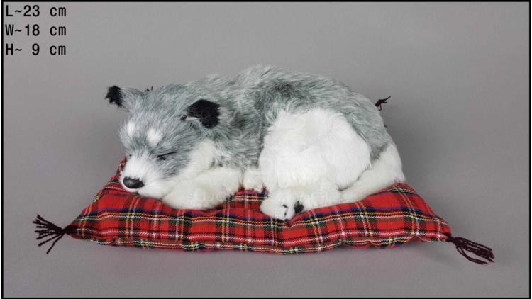 Dog Husky on a pillow - Size M