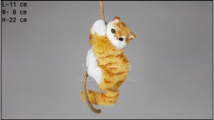 Cat climbing a rope - Auburn